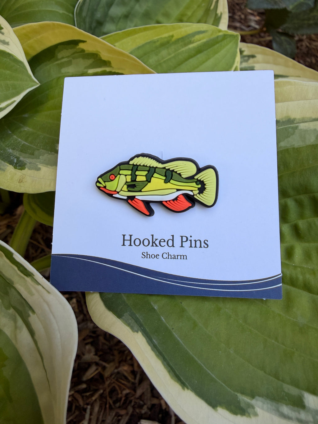 Shoe Charm - Peacock Bass