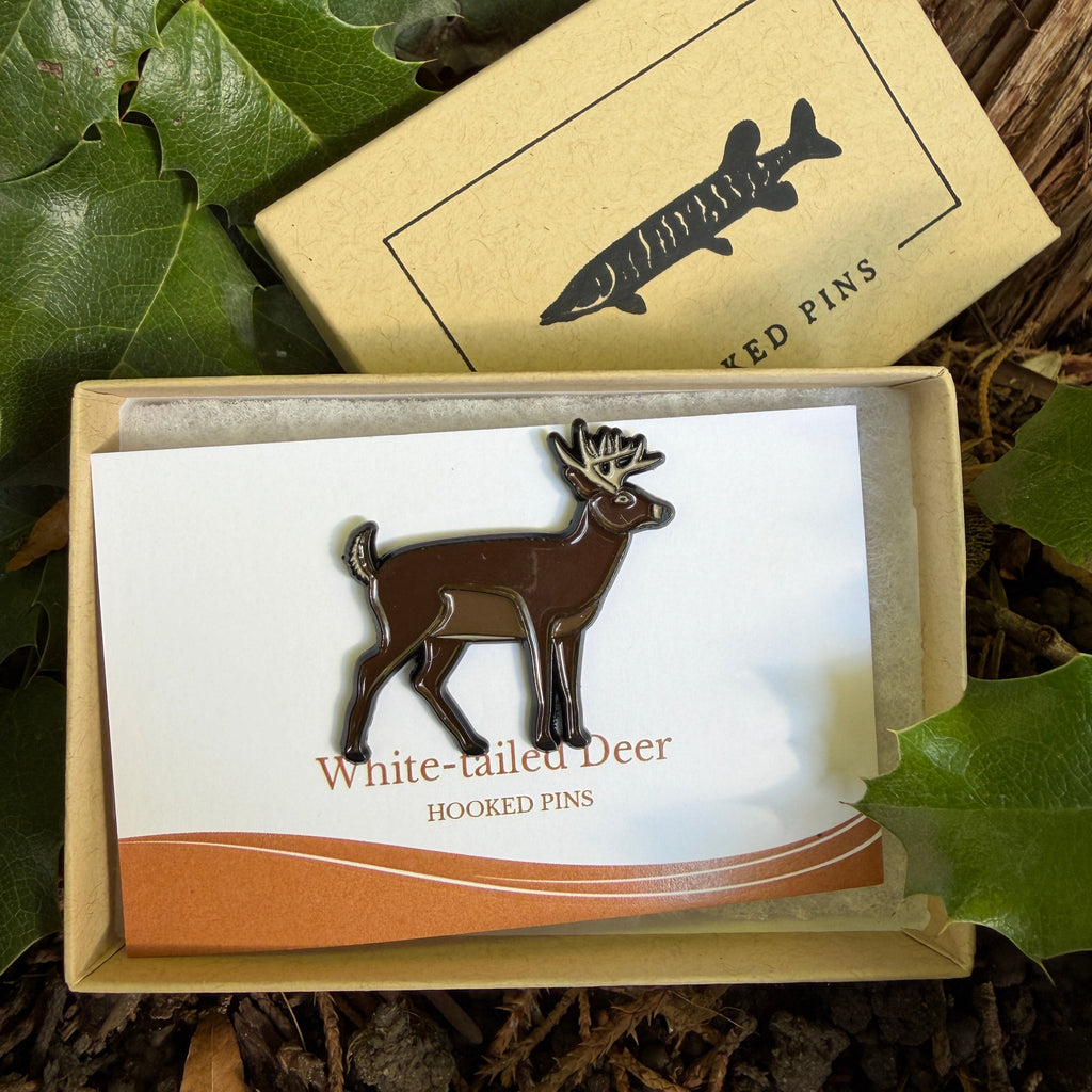 White-tailed Deer  - Pin with Gift Box