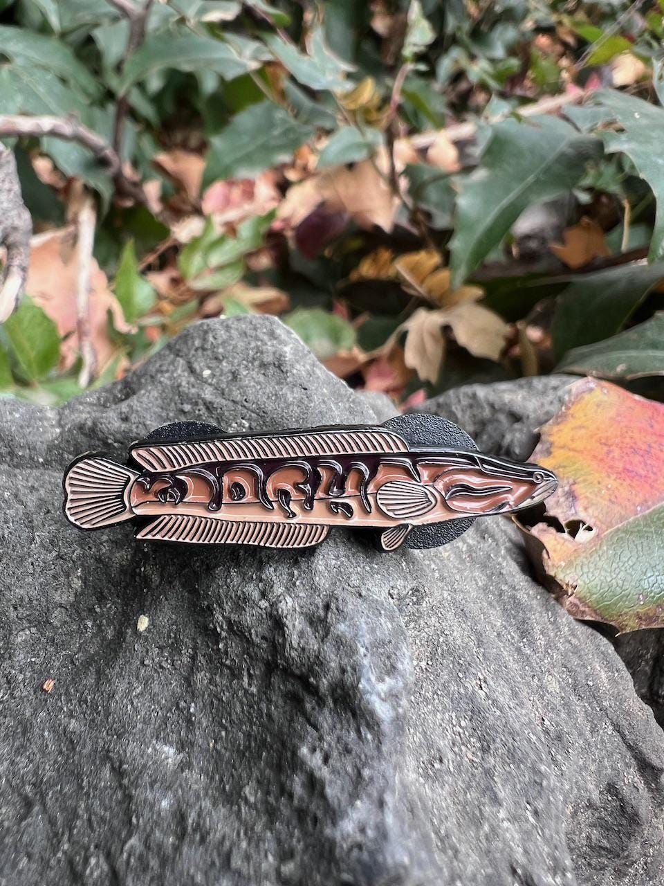 Snakehead - Fish Pin with Gift Box