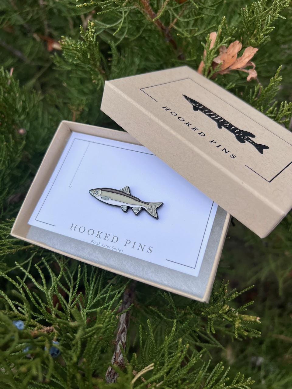 Mountain Whitefish - Fish Pin with Gift Box