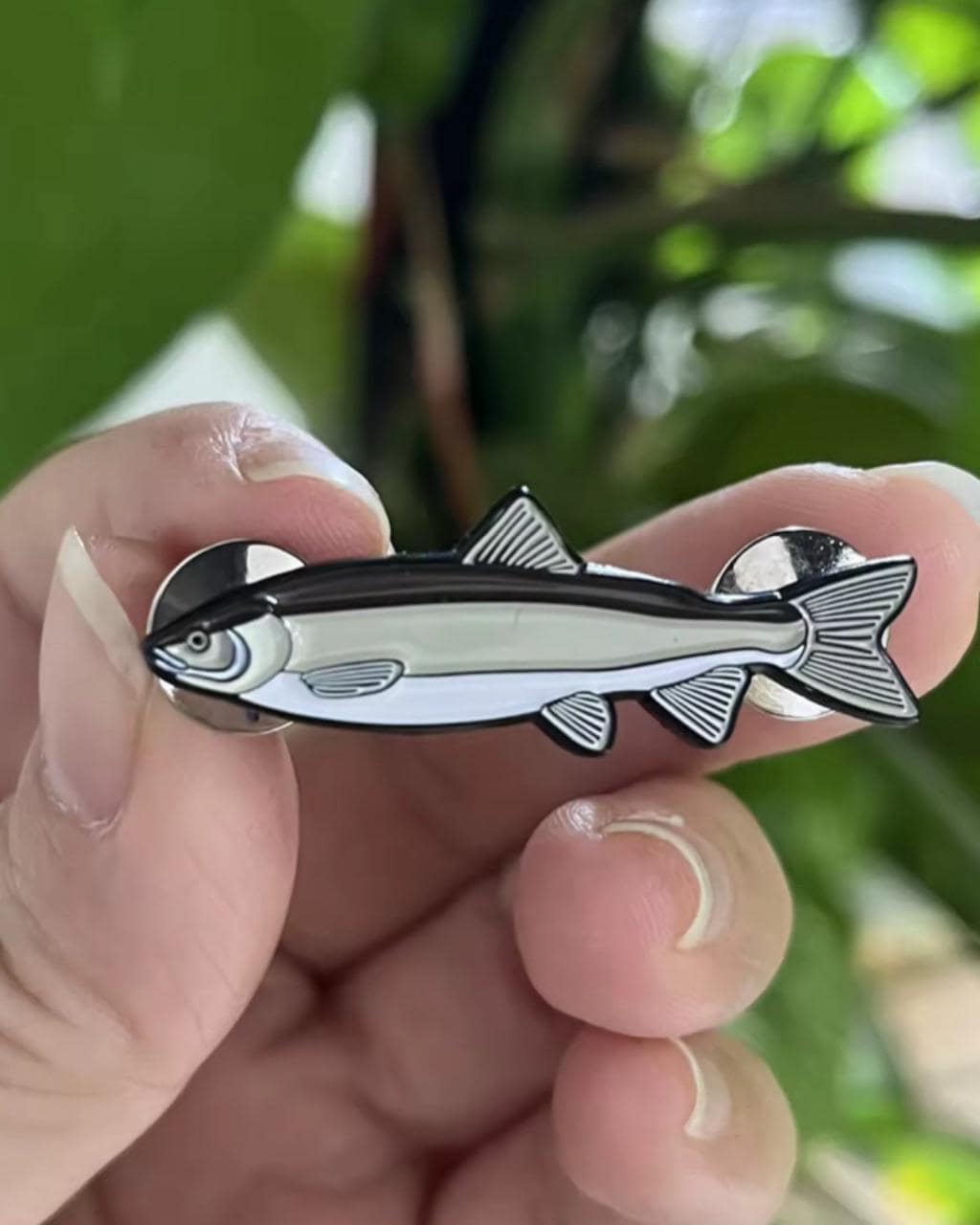 Mountain Whitefish - Fish Pin with Gift Box