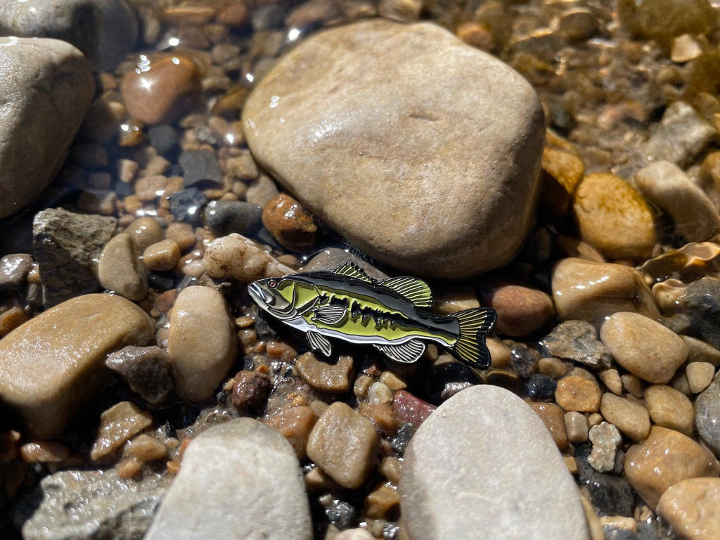 Largemouth Bass  - Fish Pin with Gift Box