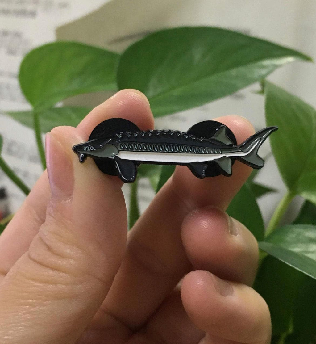 Sturgeon - Fish Pin with Gift Box