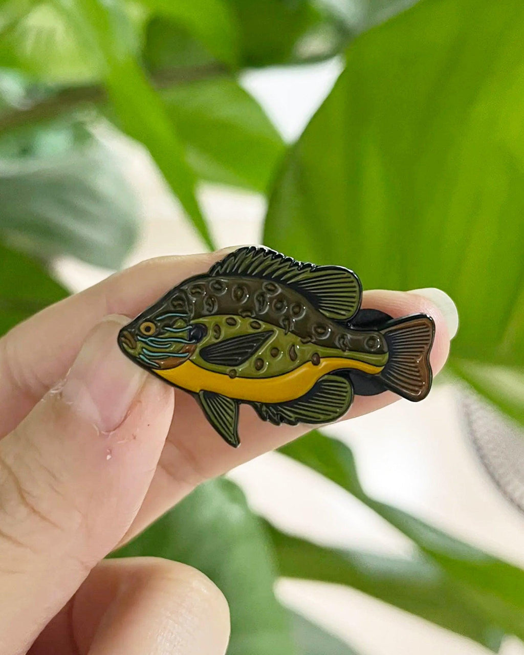 Pumpkinseed  - Fish Pin with Gift Box