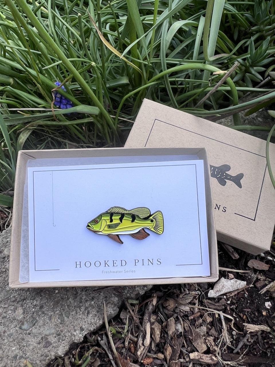Peacock Bass - Fish Pin with Gift Box