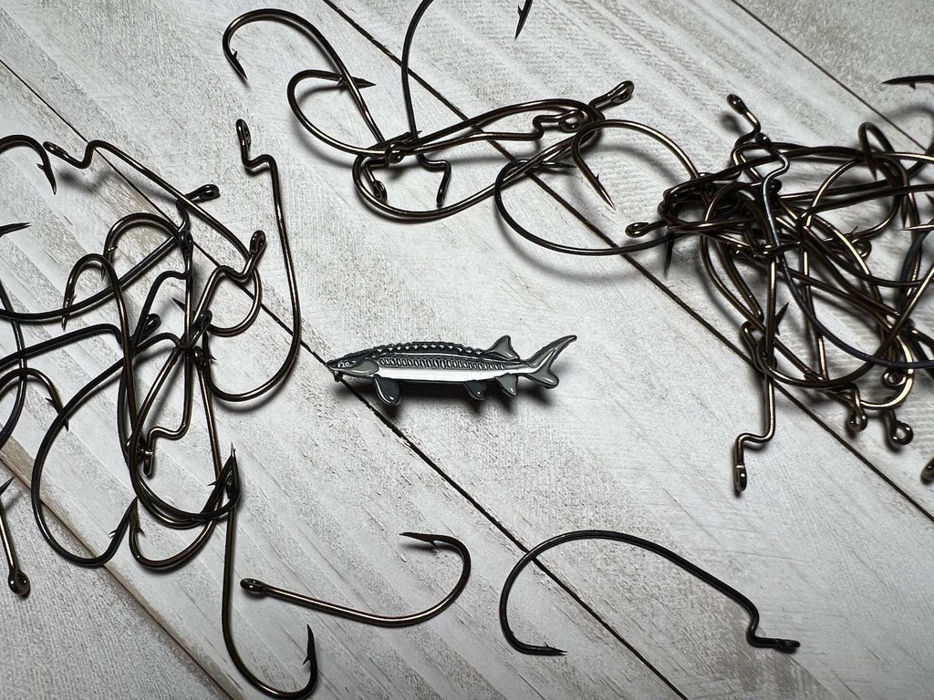 Sturgeon - Fish Pin with Gift Box