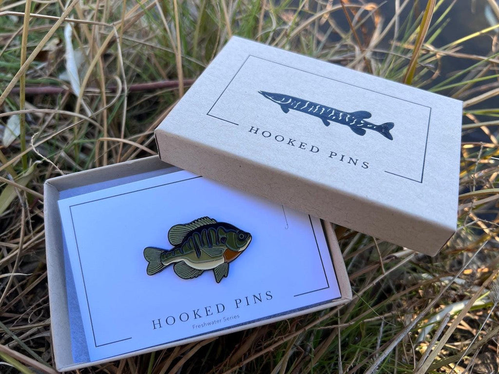 Bluegill  - Fish Pin with Gift Box